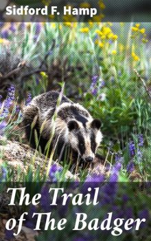 The Trail of The Badger, Sidford F.Hamp