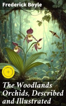 The Woodlands Orchids, Described and Illustrated, Frederick Boyle