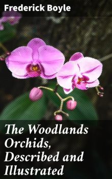 The Woodlands Orchids, Described and Illustrated, Frederick Boyle