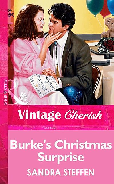 Burke's Christmas Surprise, Sandra Steffen