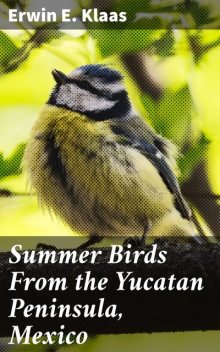 Summer Birds From the Yucatan Peninsula, Mexico, Erwin E.Klaas