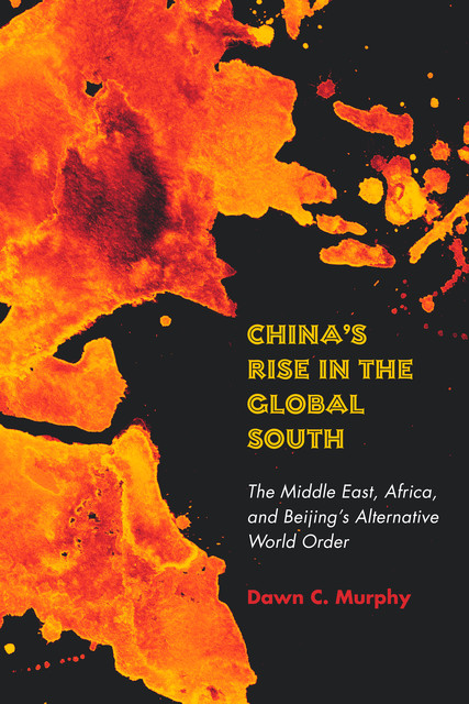 China's Rise in the Global South, Dawn Murphy