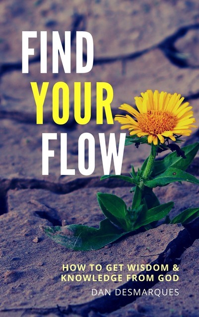 Find Your Flow, Dan Desmarques