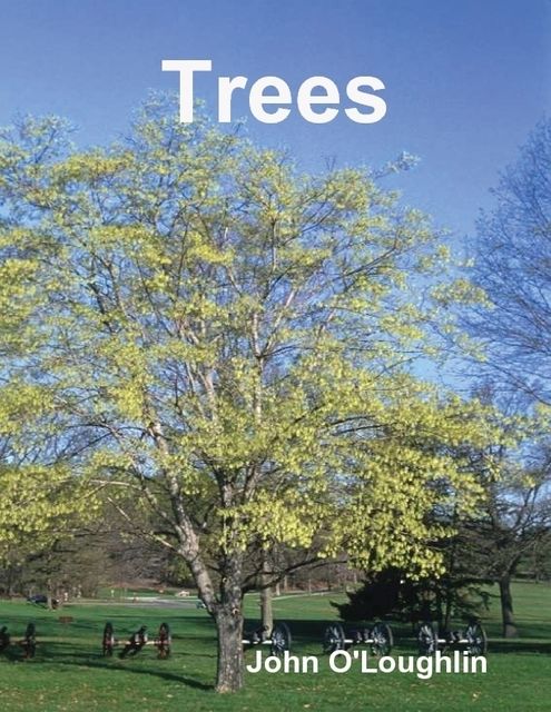 Trees, John O'Loughlin