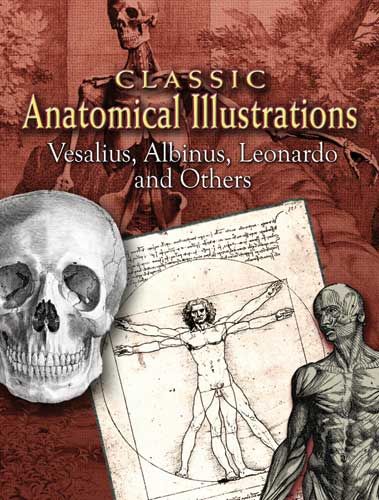 Classic Anatomical Illustrations, Leonardo Albinus
