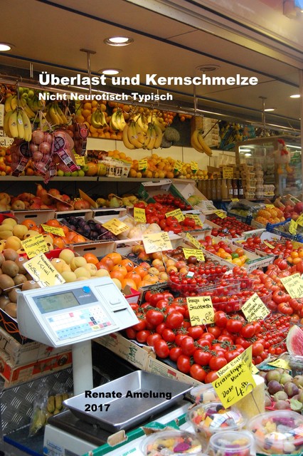 Überlast und Kernschmelze, Renate Amelung