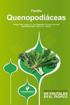 Manual para el cultivo de hortalizas. Familia Quenopodiáceas, Germán David Sánchez, Hernán Pinzón Ramírez