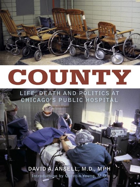 County, David A. Ansell