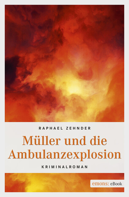 Müller und die Ambulanzexplosion, Raphael Zehnder