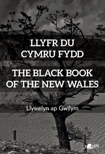 Llyfr Du Cymru Fydd / The Black Book of the New Wales, Llywelyn ap Gwilym