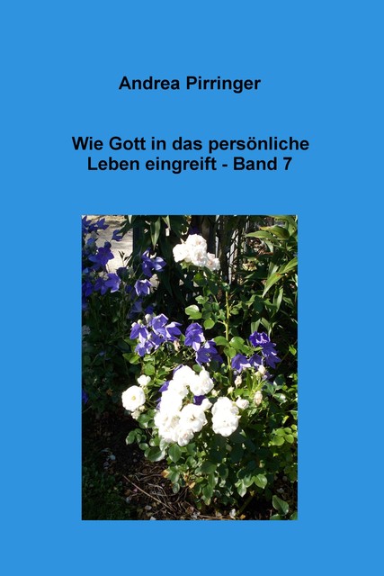 Wie Gott in das persönliche Leben eingreift – Band 7, Andrea Pirringer