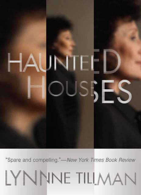 Haunted Houses, Lynne Tillman