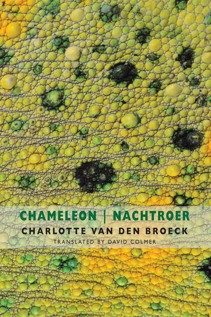 Chameleon | Nachtroer, Charlotte Van den Broeck