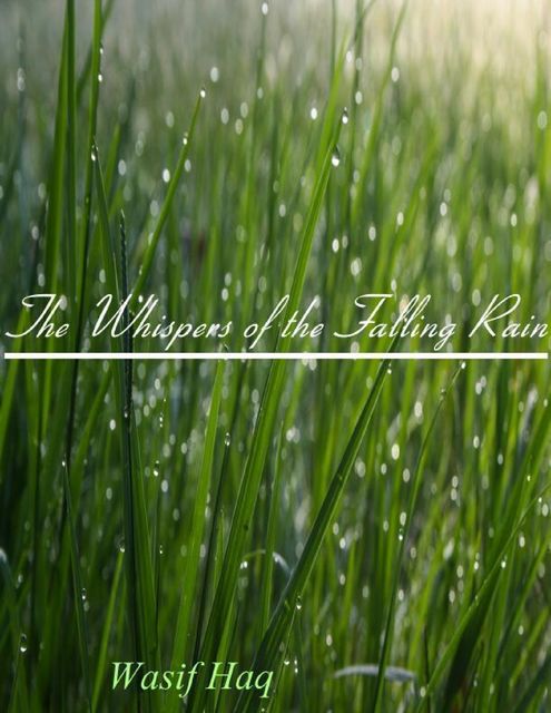The Whispers of the Falling Rain, Wasif Haq