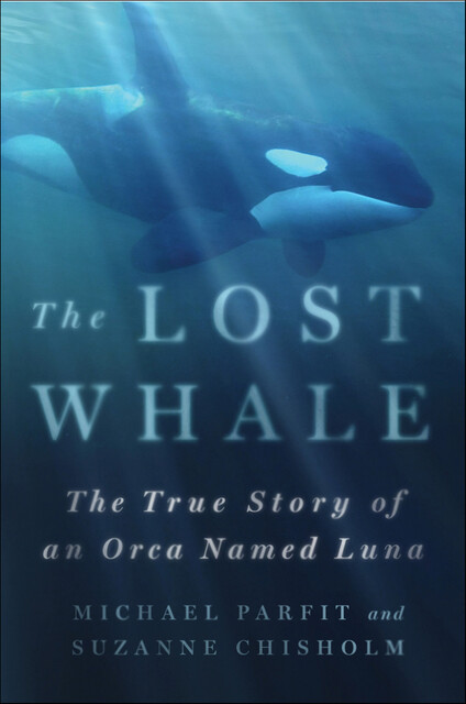 The Lost Whale, Michael Parfit, Suzanne Chisholm