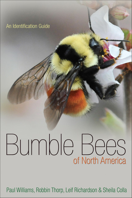 Bumble Bees of North America, Paul Williams, Leif Richardson, Robbin Thorp, Sheila Colla