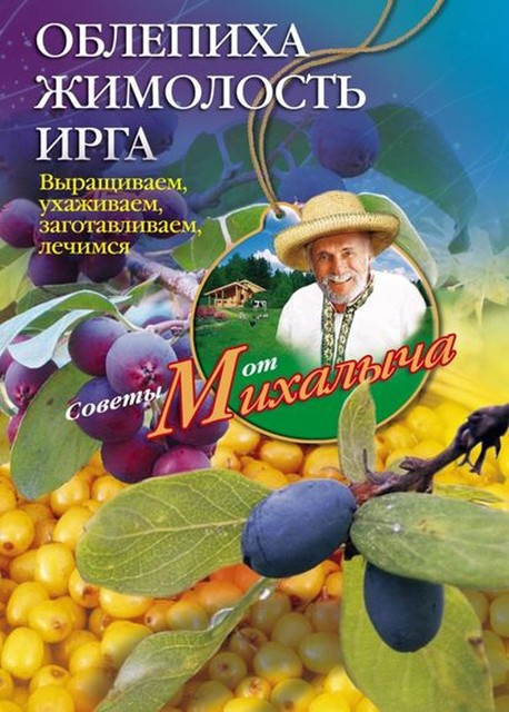 Облепиха, жимолость, ирга. Выращиваем, ухаживаем, заготавливаем, лечимся, Николай Звонарев