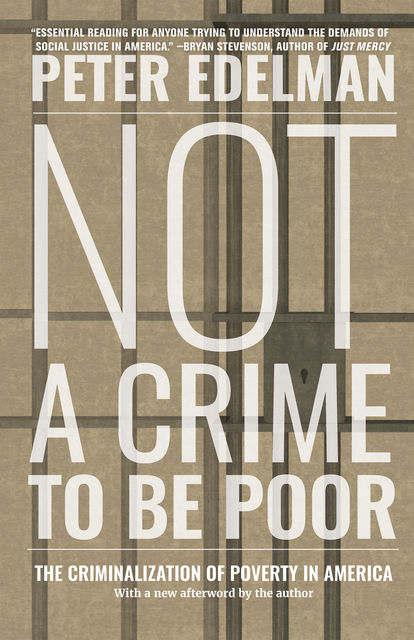 Not a Crime to Be Poor, Peter Edelman