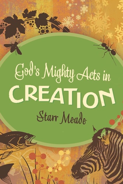 God's Mighty Acts in Creation, Starr Meade
