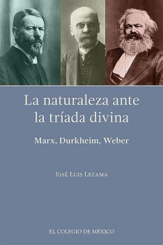 La naturaleza ante la tríada divina, José Luis Lezama