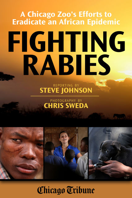 Fighting Rabies, Steve Johnson