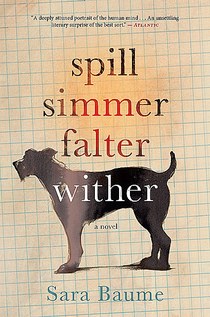 Spill Simmer Falter Wither, Sara Baume