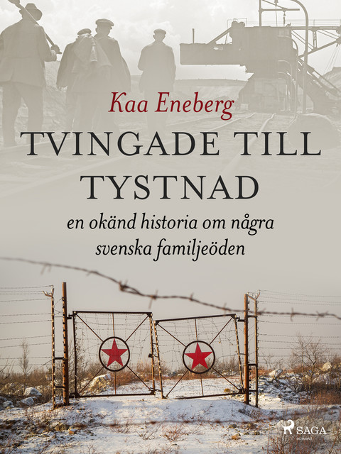 Tvingade till tystnad, Eeva Birgit Kaarina Eneberg