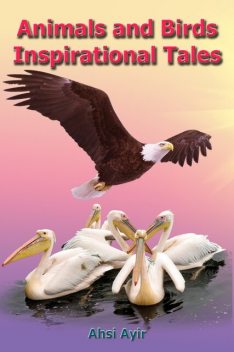 Animals and Birds Inspirational Tales, Ahsi Ayir