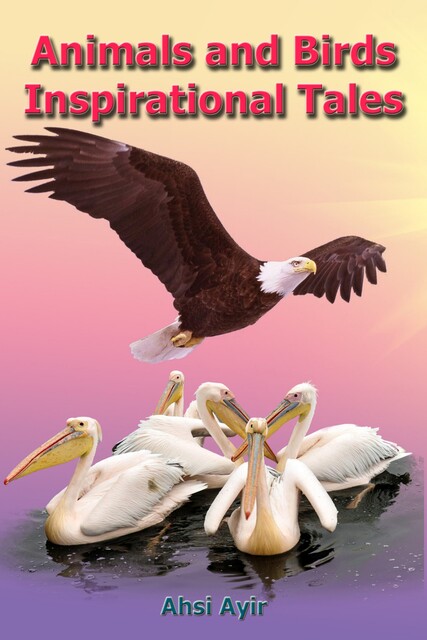 Animals and Birds Inspirational Tales, Ahsi Ayir
