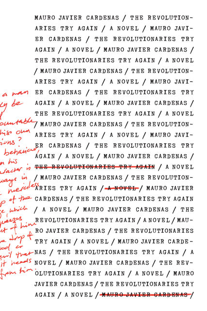 The Revolutionaries Try Again, Mauro Javier Cardenas