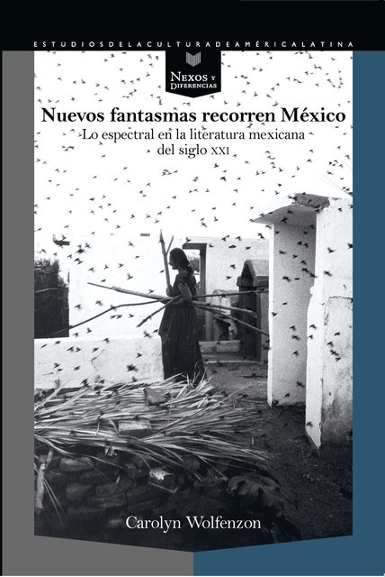 Nuevos fantasmas recorren México, Carolyn Wolfenzon