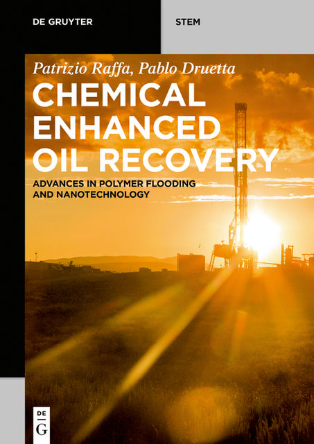 Chemical Enhanced Oil Recovery, Pablo Druetta, Patrizio Raffa