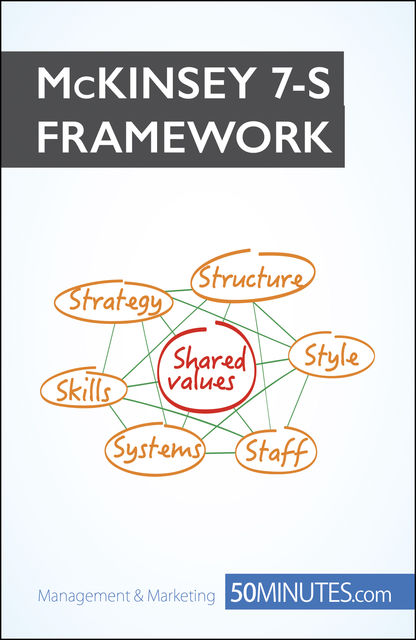 McKinsey 7S Framework, Anastasia Samygin-Cherkaoui