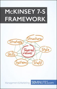 McKinsey 7S Framework, Anastasia Samygin-Cherkaoui