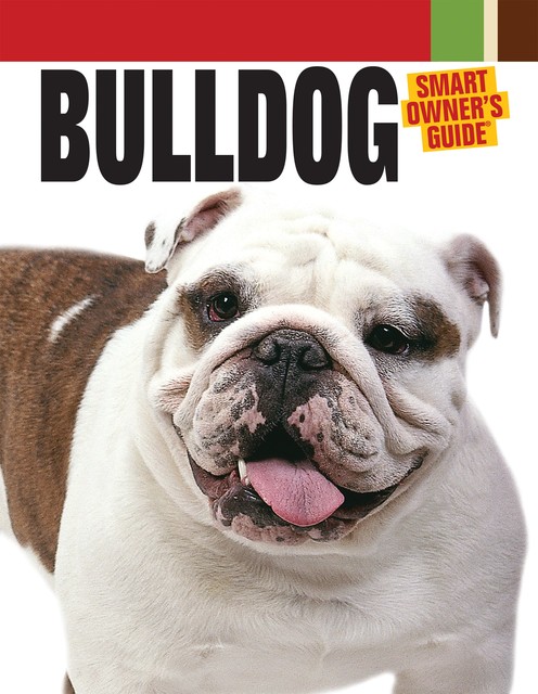 Bulldog, Dog Fancy Magazine