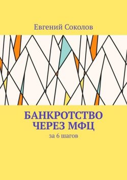 Банкротство через МФЦ. За 6 шагов, Евгений Соколов