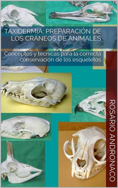 Taxidermia: Preparación de los cráneos de animales – Conceptos y técnicas para la correcta conservación de los esqueletos, Rosario Andronaco