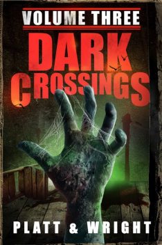 Dark Crossings, David Wright, Sean Platt