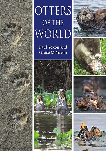 Otters of the World, Paul Yoxon