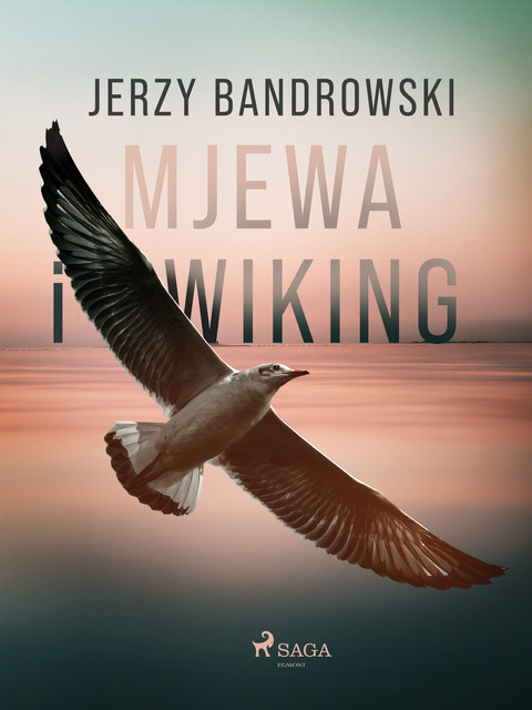 Mjewa i Wiking, Jerzy Bandrowski