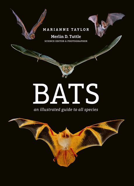 Bats, Marianne Taylor