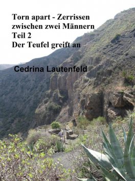 Torn apart – Zerrissen zwischen zwei Männern, Cedrina Lautenfeld