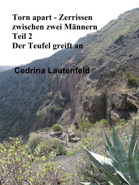 Torn apart – Zerrissen zwischen zwei Männern, Cedrina Lautenfeld