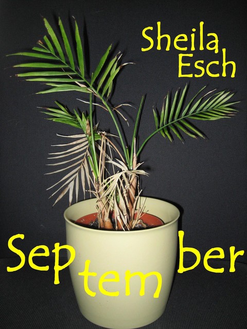September, Sheila Esch