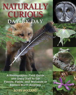 Naturally Curious Day by Day, Mary Holland