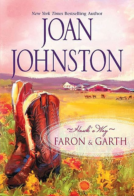 Hawk's Way Collection: Faron And Garth, Joan Johnston