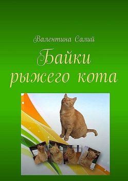 Байки рыжего кота, Валентина Салий