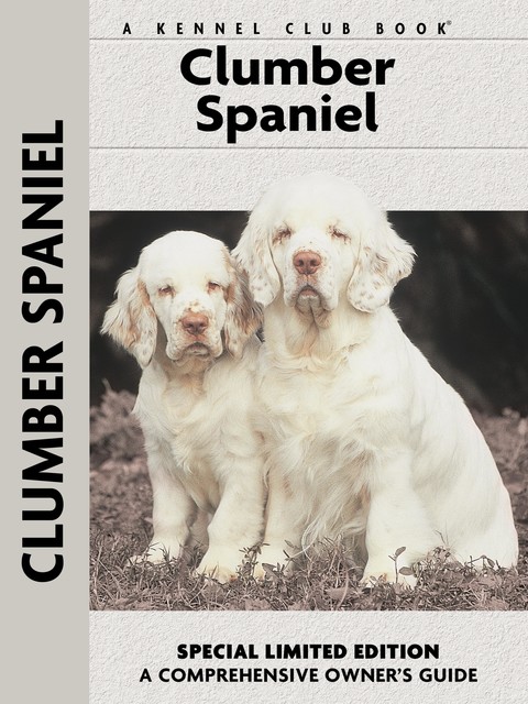 Clumber Spaniel, Ricky Blackman