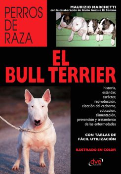 El Bull Terrier, Giulio Audisio Di Somma, Maurizio Marchetti