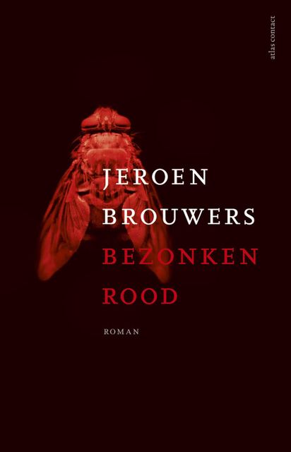 Bezonken rood, Jeroen Brouwers